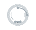 transparent7